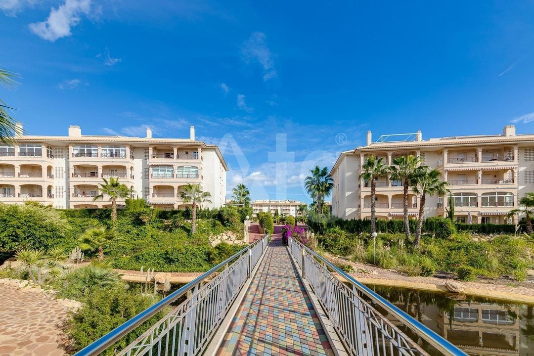 Appartement de 2 chambres à Playa Flamenca - HRE140892 - Photo - 26