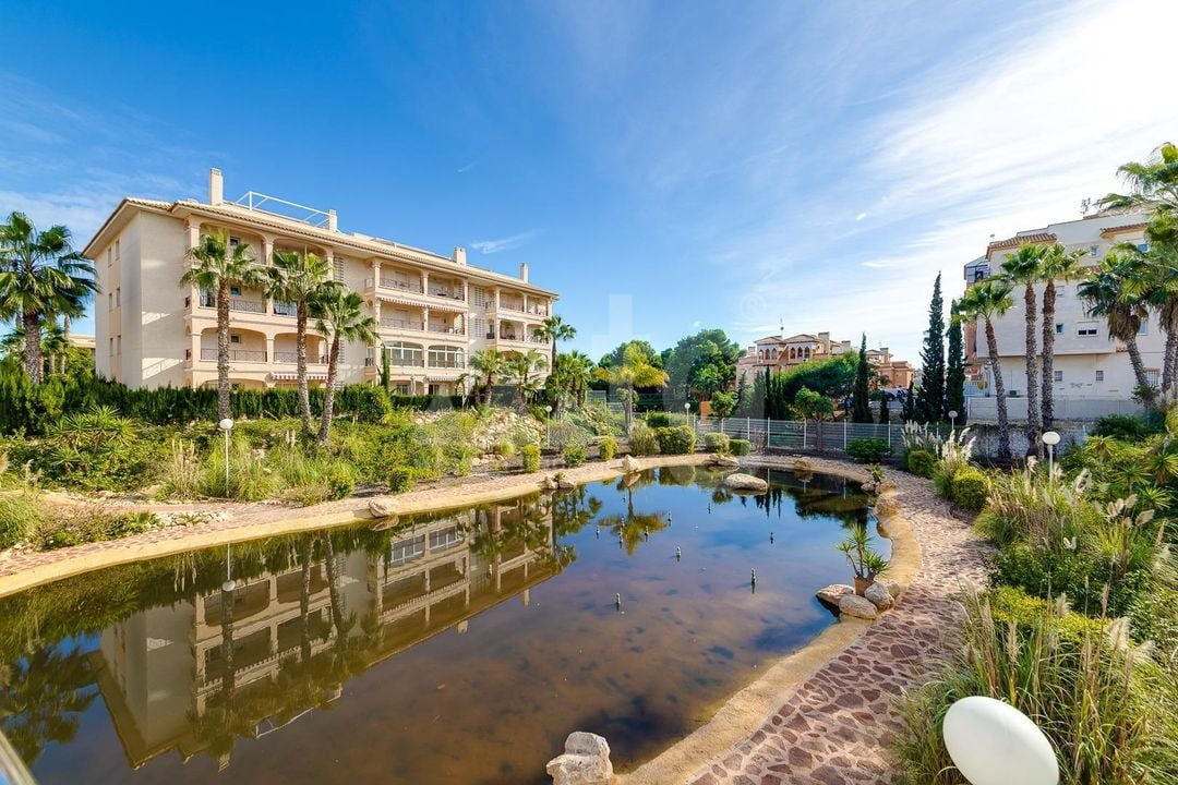 Appartement de 2 chambres à Playa Flamenca - HRE140892 - Photo - 27