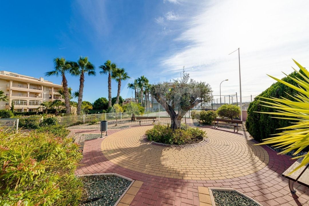 Appartement de 2 chambres à Playa Flamenca - HRE140892 - Photo - 31