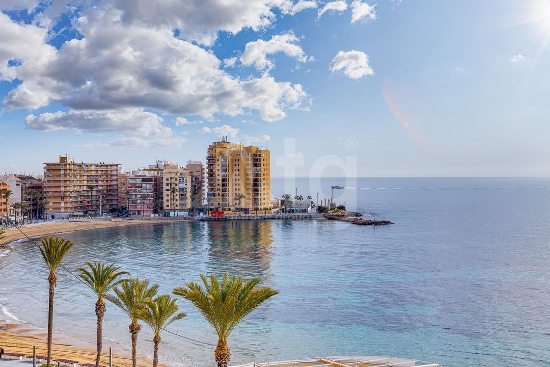 2 bedroom Apartment in Torrevieja - HRE140908 - Photo - 15