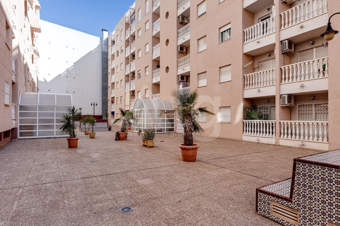2 bedroom Apartment in Torrevieja - CYM146979 - Photo - 25