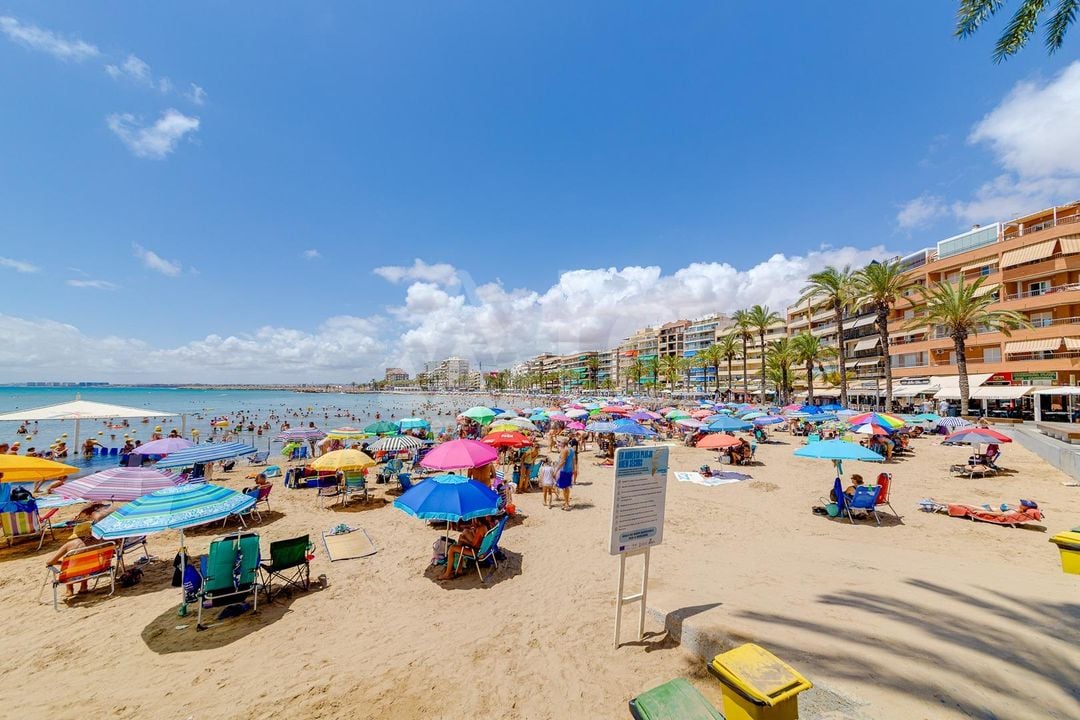 2 bedroom Apartment in Torrevieja - CYM146979 - Photo - 34