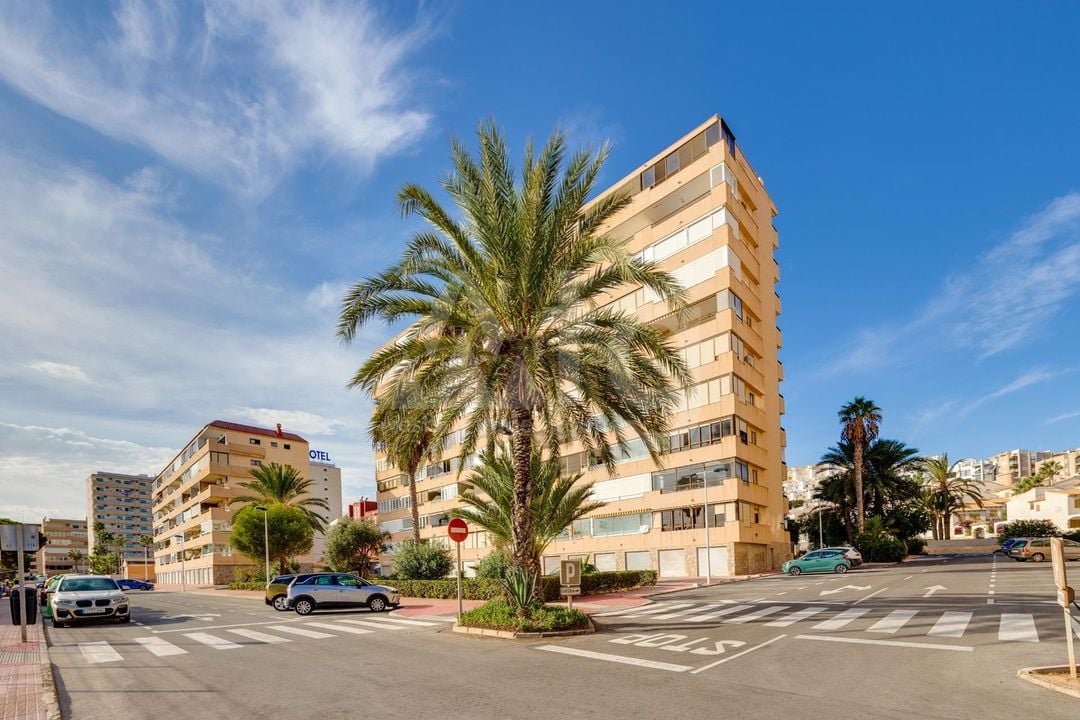 2 bedroom Apartment in Torrevieja - HRE140923 - Photo - 28