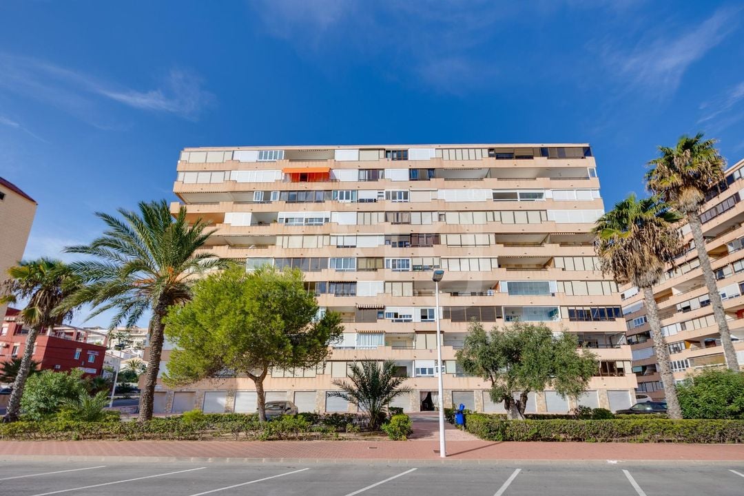 2 bedroom Apartment in Torrevieja - HRE140923 - Photo - 24