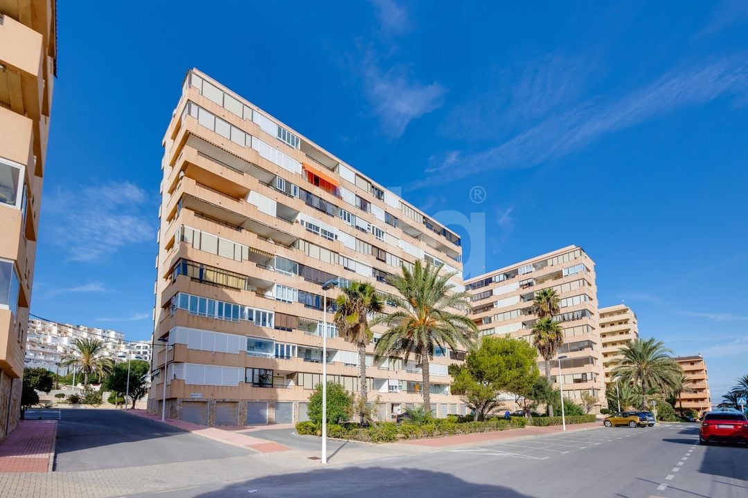 2 bedroom Apartment in Torrevieja - HRE140923 - Photo - 25