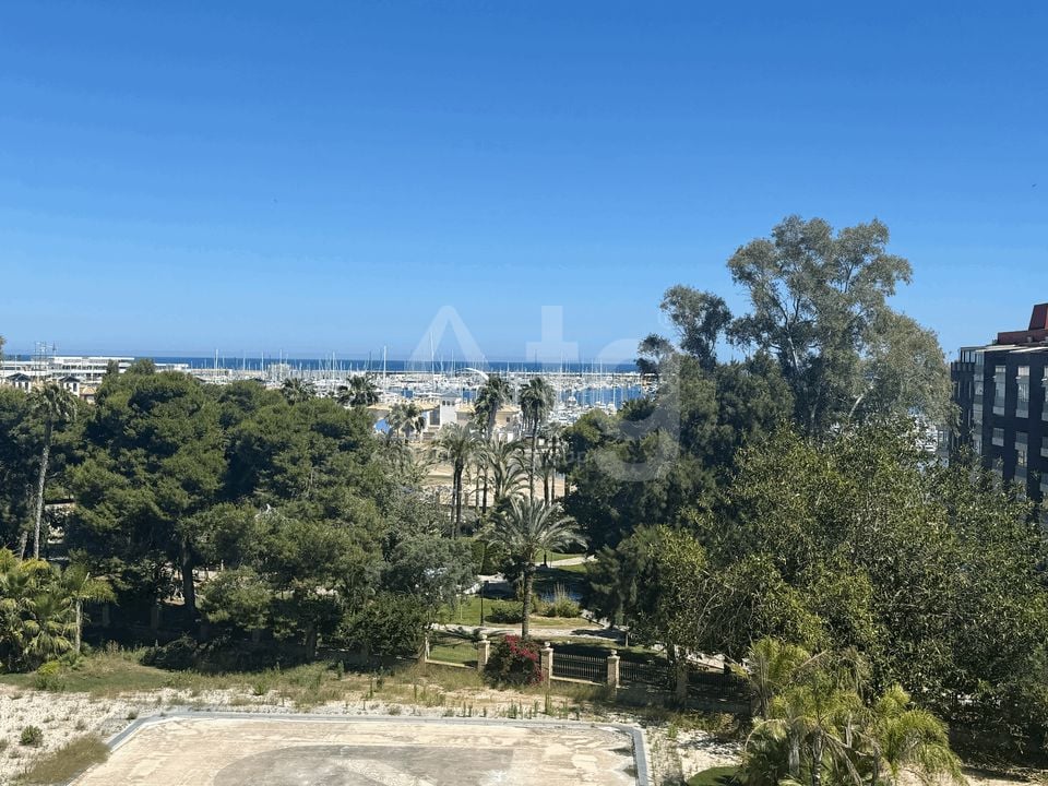 2 bedroom Apartment in Torrevieja - AET140971 - Photo - 11