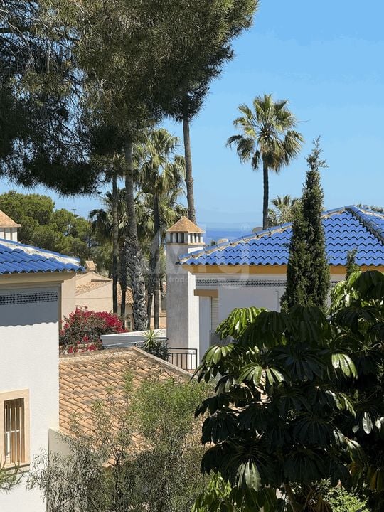 2 bedroom Apartment in Orihuela Costa - AET140972 - Photo - 15