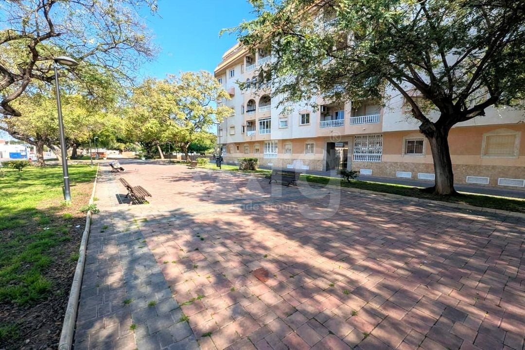 2 bedroom Apartment in Torrevieja - SV141099 - Photo - 21