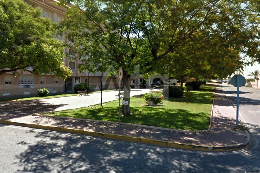 2 bedroom Apartment in Torrevieja - SV141099 - Photo - 31