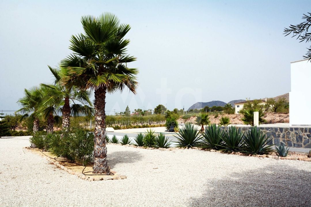 Villa de 3 chambres à Hondón de los Frailes - SLN141134 - Photo - 37