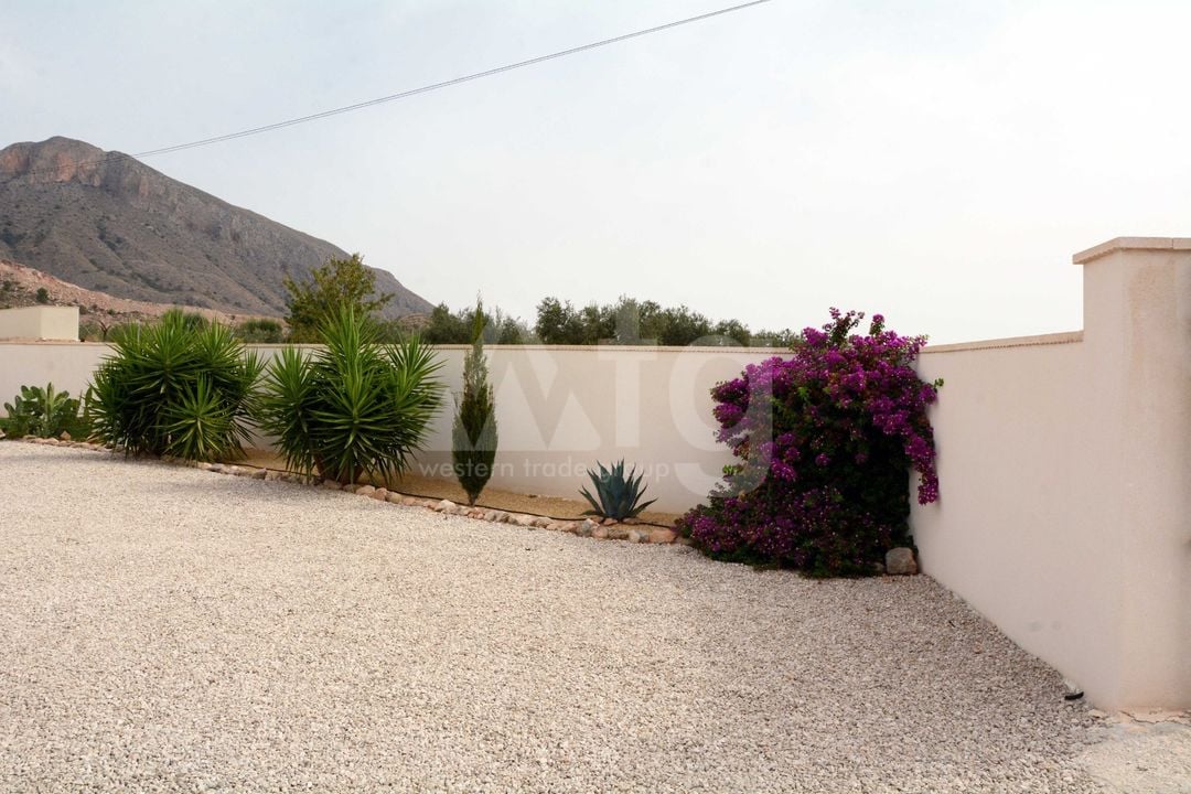 Villa de 3 chambres à Hondón de los Frailes - SLN141134 - Photo - 38