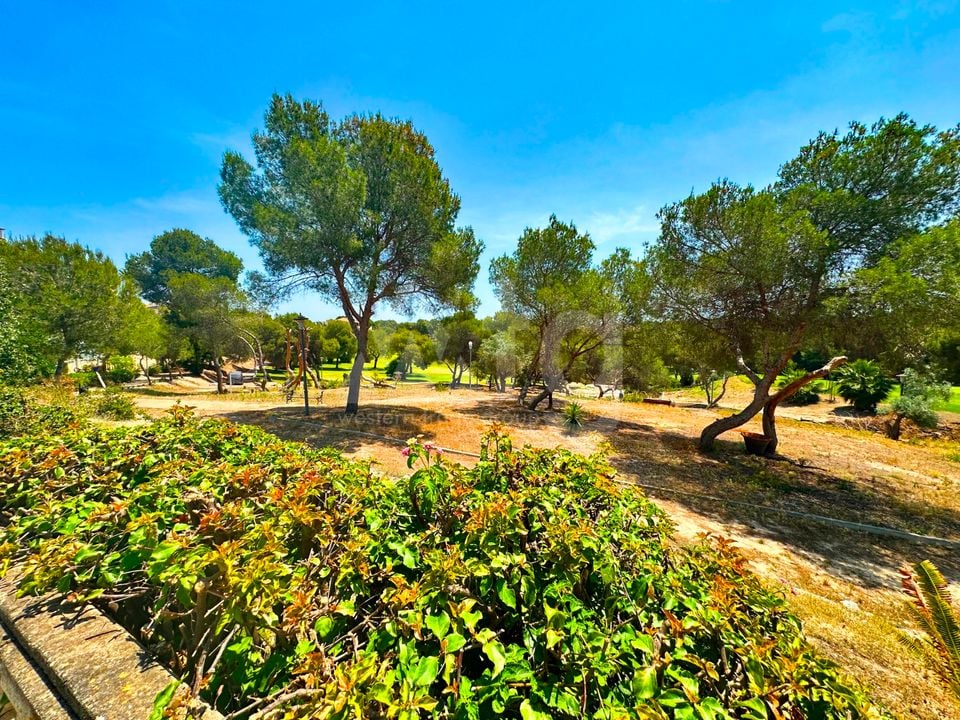 3 bedroom Villa in Orihuela Costa - FPS141341 - Photo - 35