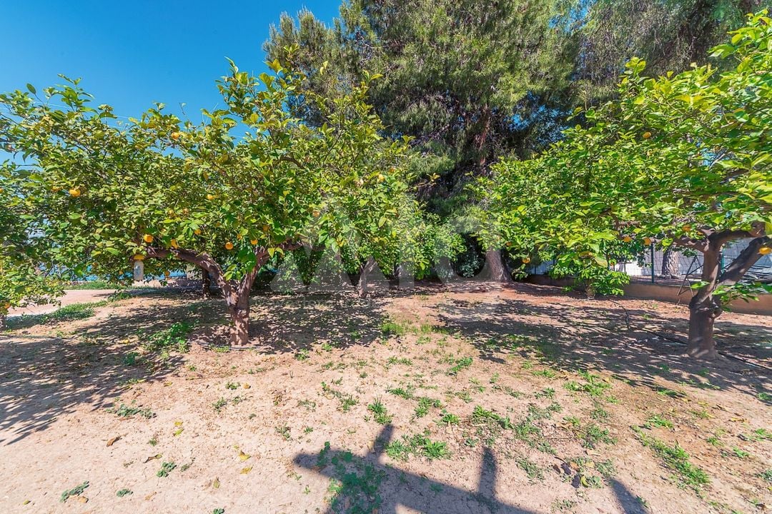 4 bedroom Villa in San Vicente del Raspeig - CBE142326 - Photo - 32