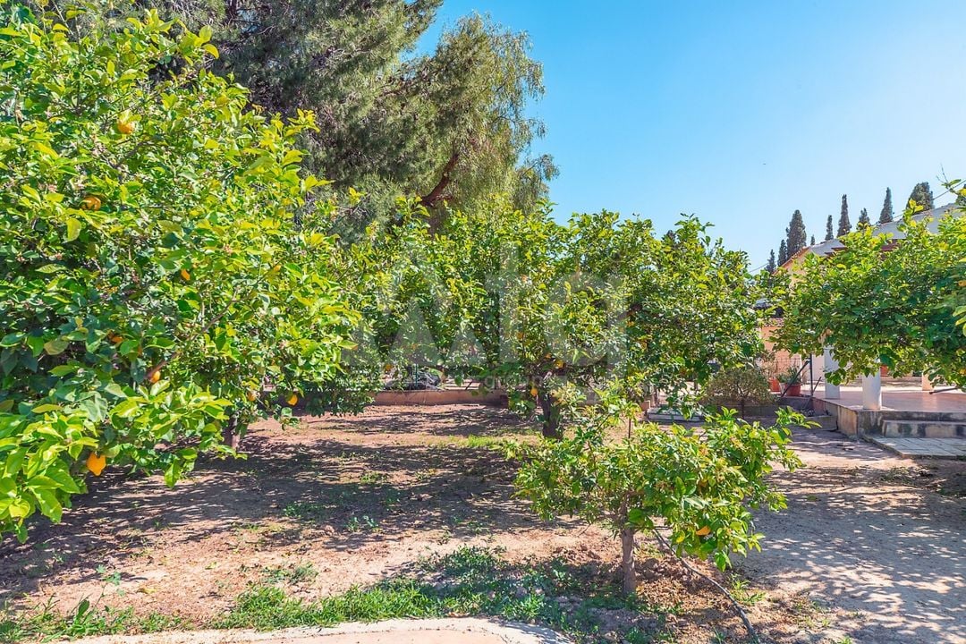 4 bedroom Villa in San Vicente del Raspeig - CBE142326 - Photo - 33