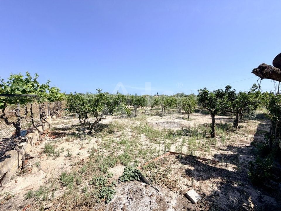 5 bedroom Villa in La Marina del Pinet - CSH142585 - Photo - 20