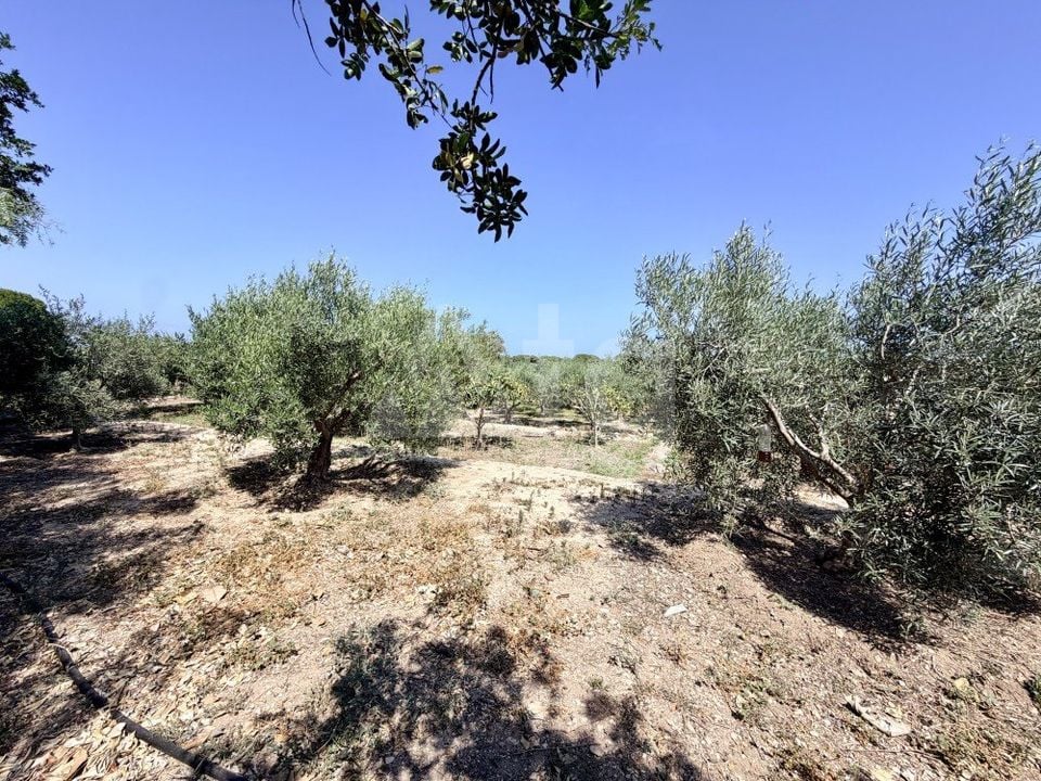 5 bedroom Villa in La Marina del Pinet - CSH142585 - Photo - 19