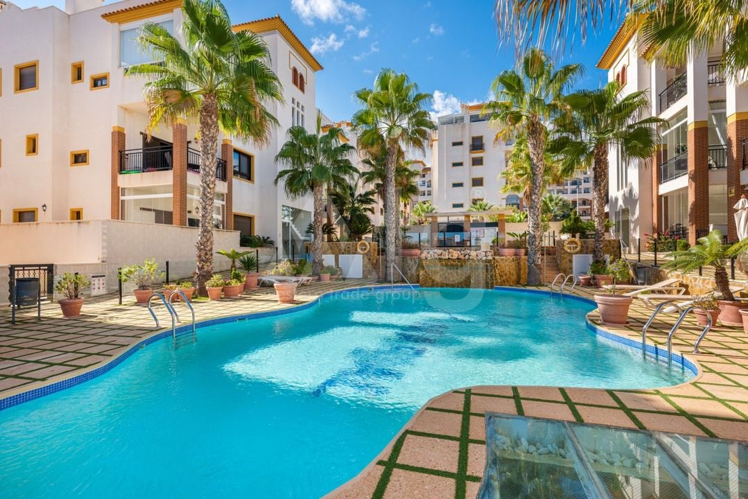 2 bedroom Apartment in Guardamar del Segura - SV142621 - Photo - 1