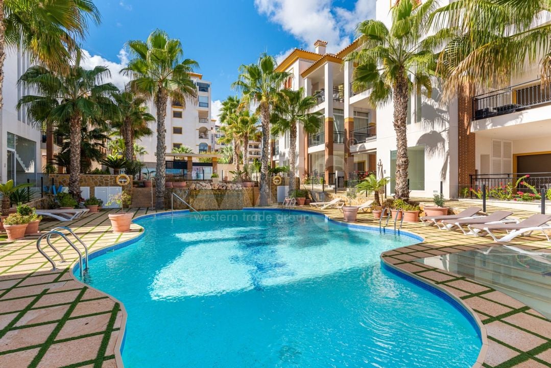 2 bedroom Apartment in Guardamar del Segura - SV142621 - Photo - 25