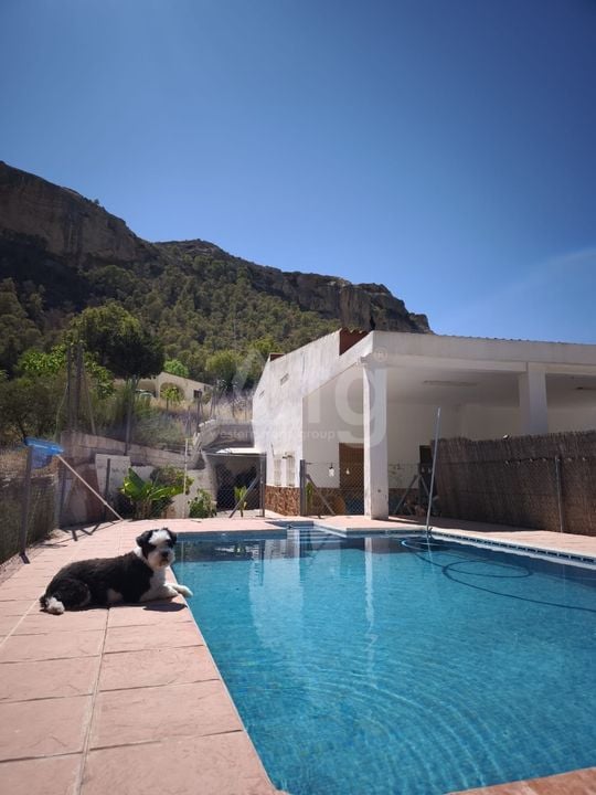 Villa de 4 chambres à Crevillente - IMA142623 - Photo - 3