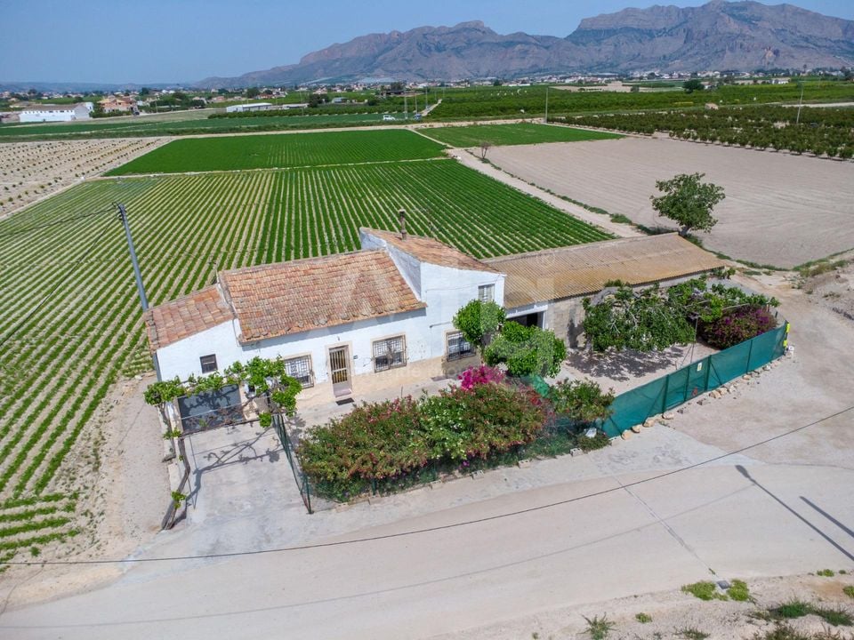 3 bedroom Villa in Orihuela - JJ142701 - Photo - 12