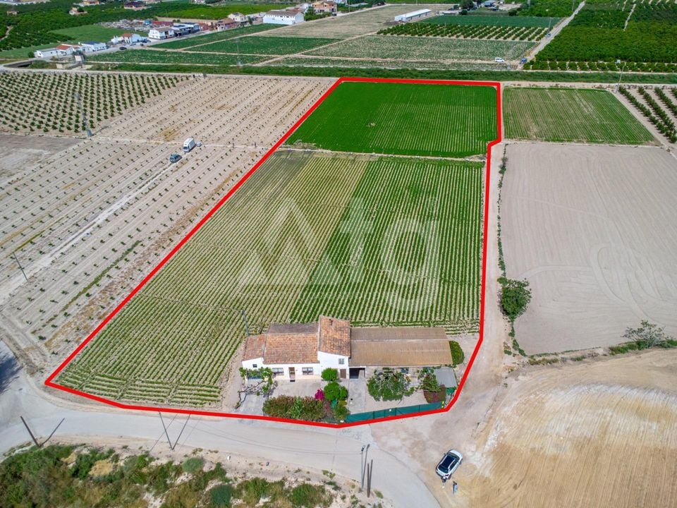 3 bedroom Villa in Orihuela - JJ142701 - Photo - 21