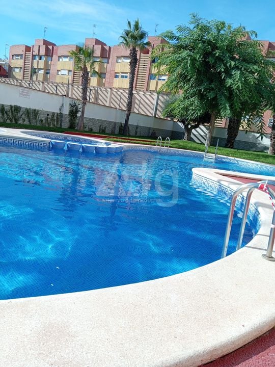 Appartement de 1 chambre à Torrevieja - PPS142862 - Photo - 7