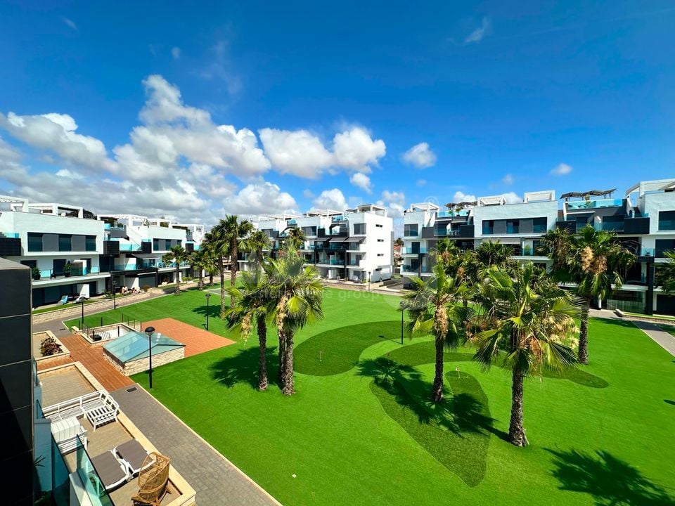 2 bedroom Penthouse in Guardamar del Segura - FPS143298 - Photo - 41