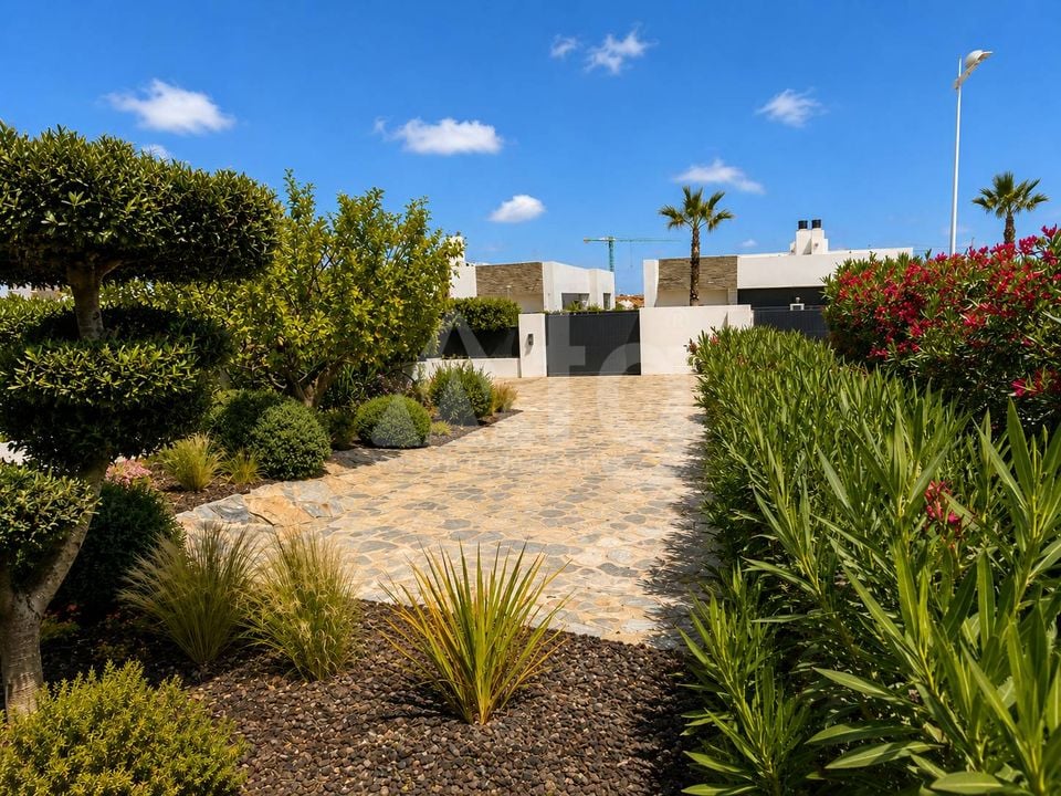3 bedroom Villa in Algorfa - TT143472 - Photo - 18