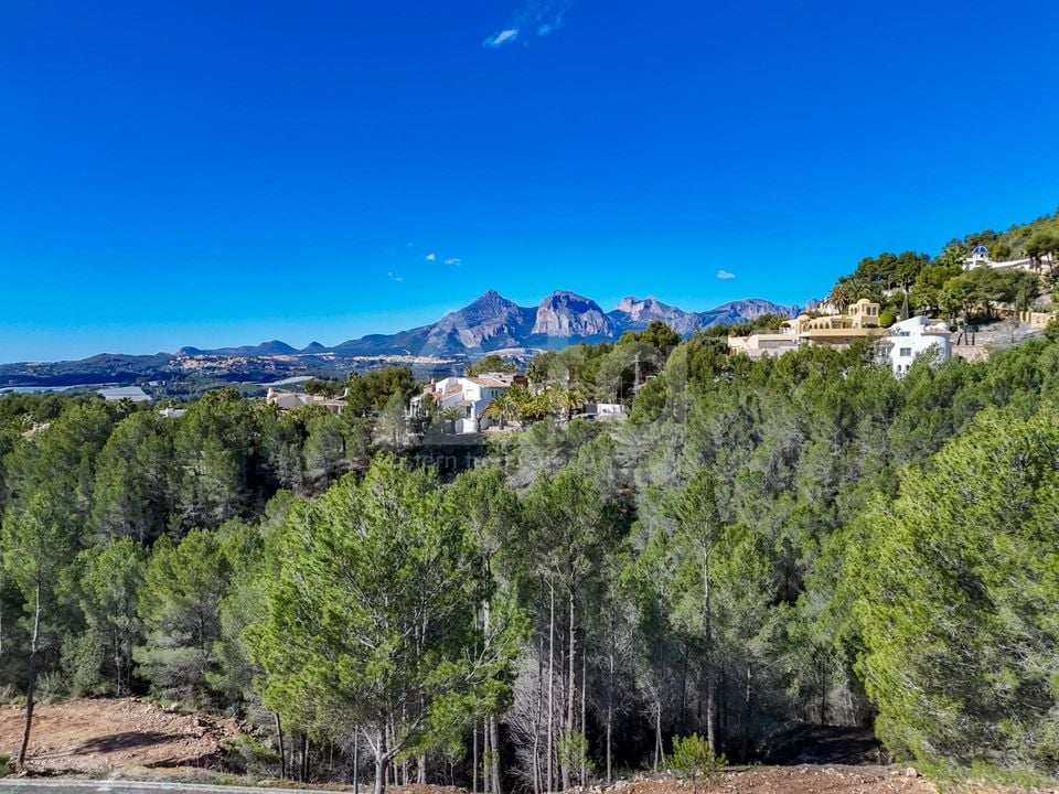 Terrain de  à Callosa de Ensarriá- ICB143628 - Photo - 1