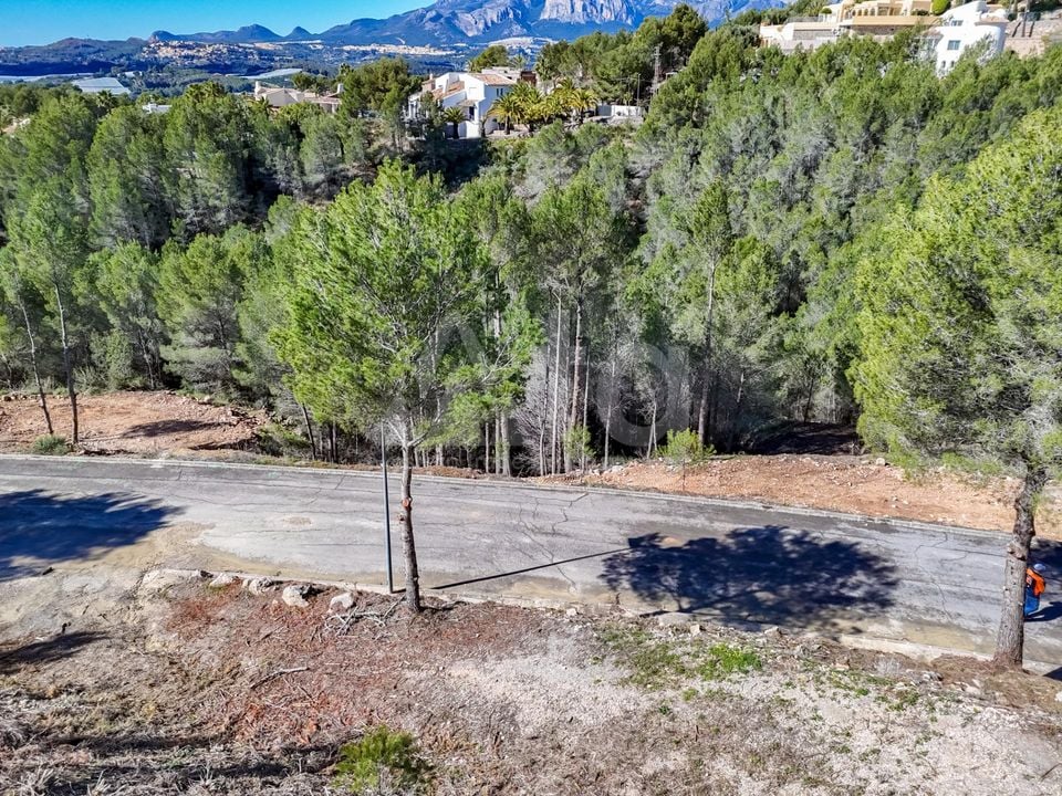 Terrain de  à Callosa de Ensarriá- ICB143628 - Photo - 4