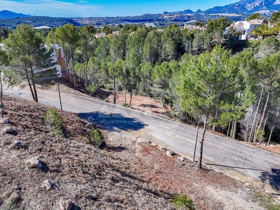 Terrain de  à Callosa de Ensarriá- ICB143628 - Photo - 3