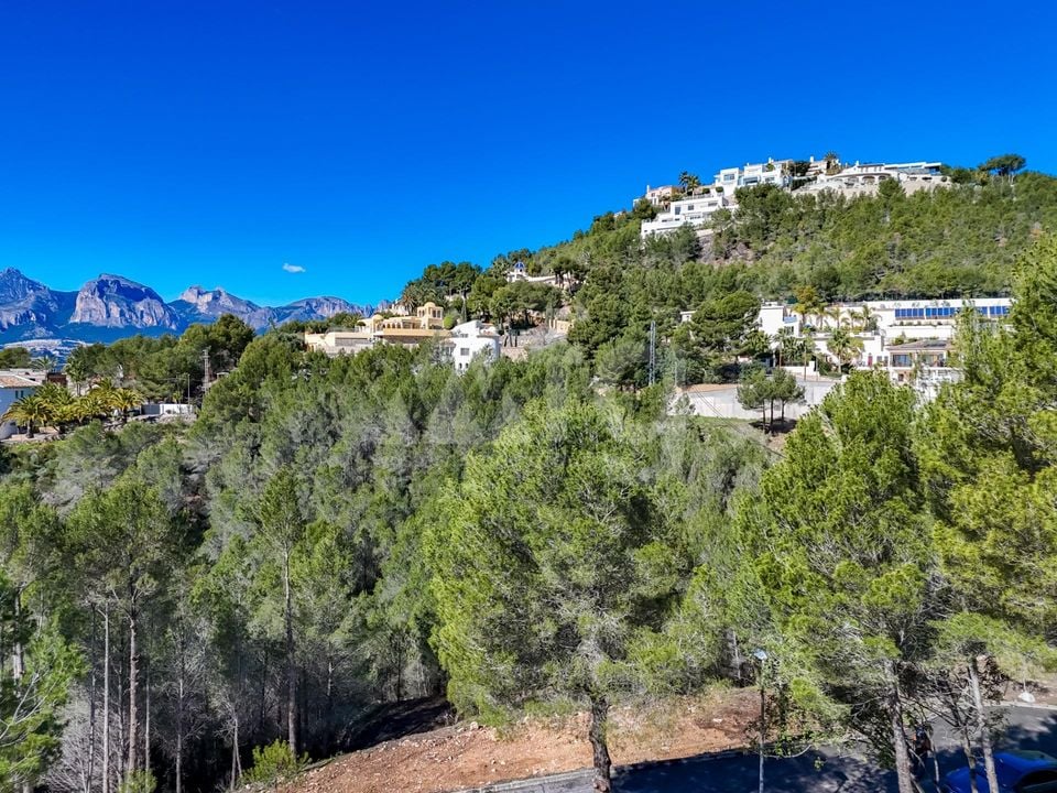 Terrain de  à Callosa de Ensarriá- ICB143628 - Photo - 11