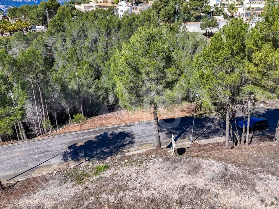 Terrain de  à Callosa de Ensarriá- ICB143628 - Photo - 9
