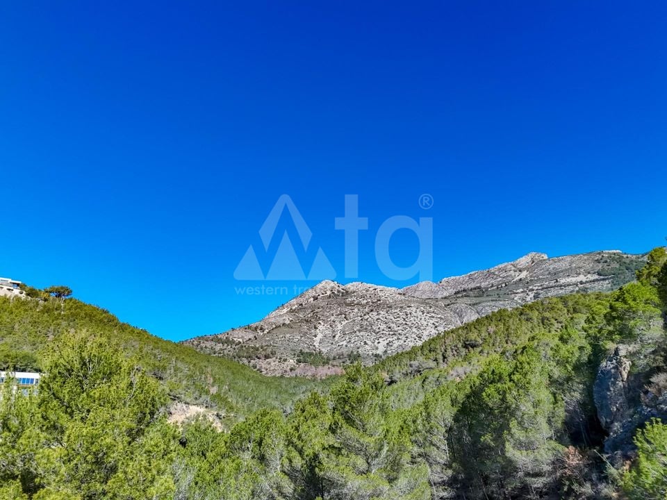 Terrain de  à Callosa de Ensarriá- ICB143628 - Photo - 14