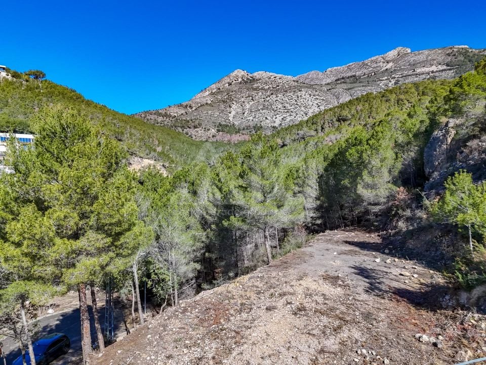 Terrain de  à Callosa de Ensarriá- ICB143628 - Photo - 2