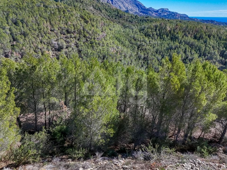 Terrain de  à Callosa de Ensarriá- ICB143629 - Photo - 4