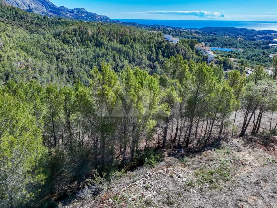 Terrain de  à Callosa de Ensarriá- ICB143629 - Photo - 3