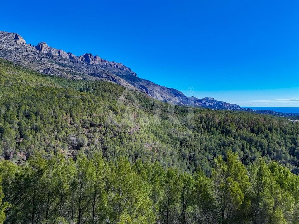 Terrain de  à Callosa de Ensarriá- ICB143629 - Photo - 6