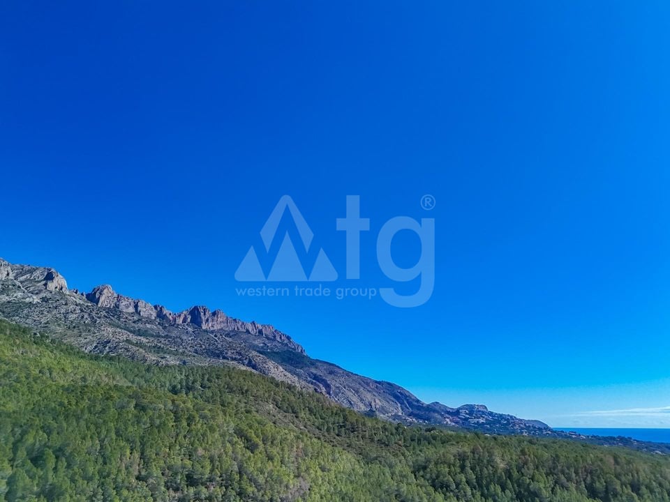 Terrain de  à Callosa de Ensarriá- ICB143629 - Photo - 10