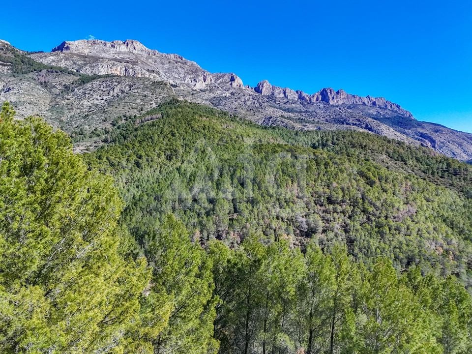 Terrain de  à Callosa de Ensarriá- ICB143629 - Photo - 7