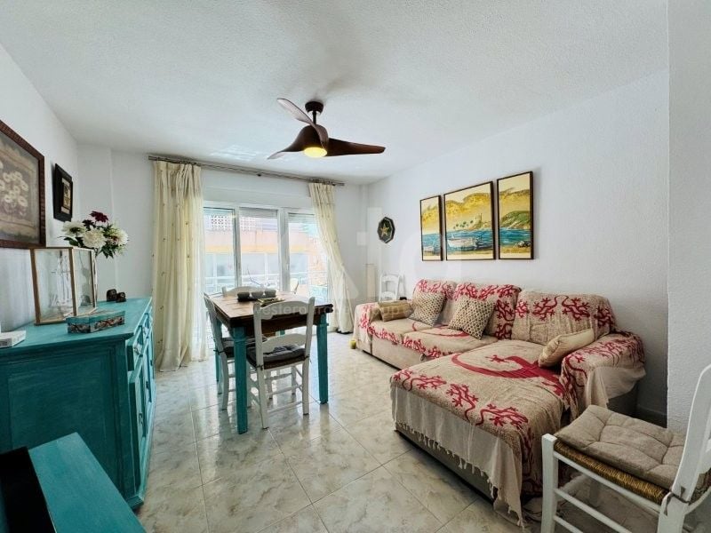 2 bedroom Apartment in La Mata - SMPN143674 - Photo - 3