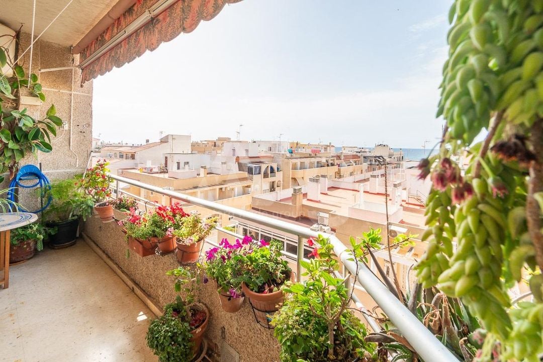 Appartement de 3 chambres à Torrevieja - RPF144136 - Photo - 11