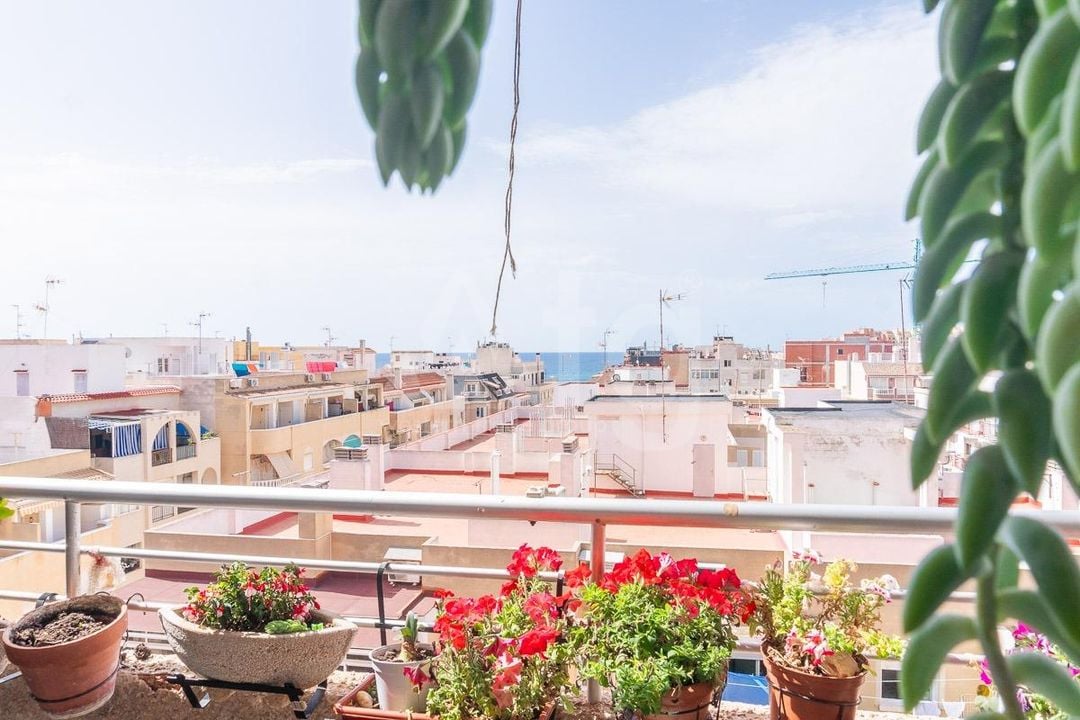 Appartement de 3 chambres à Torrevieja - RPF144136 - Photo - 12