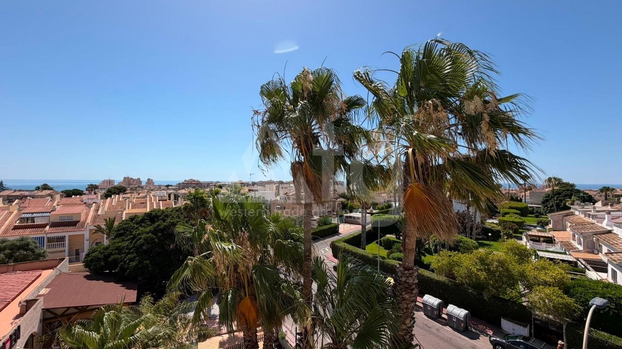 1 bedroom Apartment in Torrevieja - CT144374 - Photo - 20