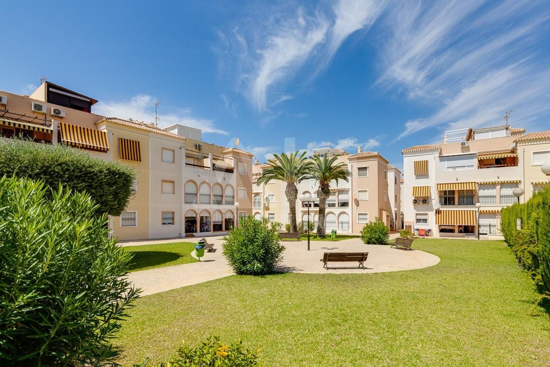 2 bedroom Bungalow in Torrevieja - TIM144653 - Photo - 28