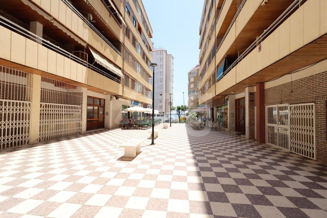 3 bedroom Apartment in Torrevieja - AG152448 - Photo - 1
