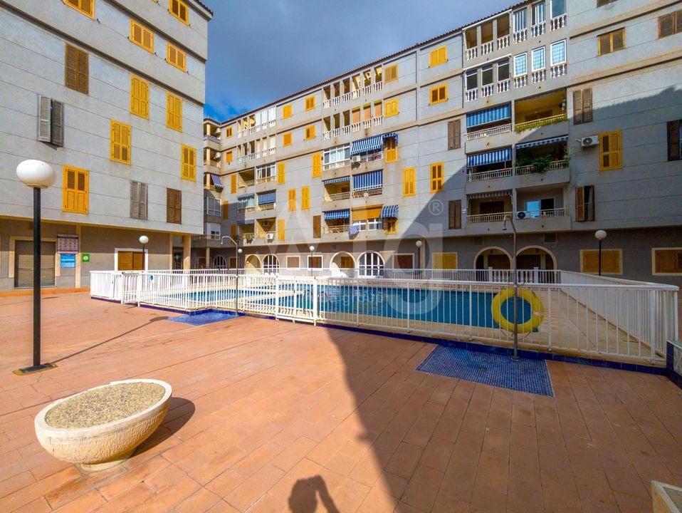 2 bedroom Apartment in Torrevieja - AP144842 - Photo - 19