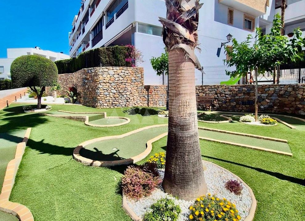 2 bedroom Apartment in Villamartin - IMO144874 - Photo - 21