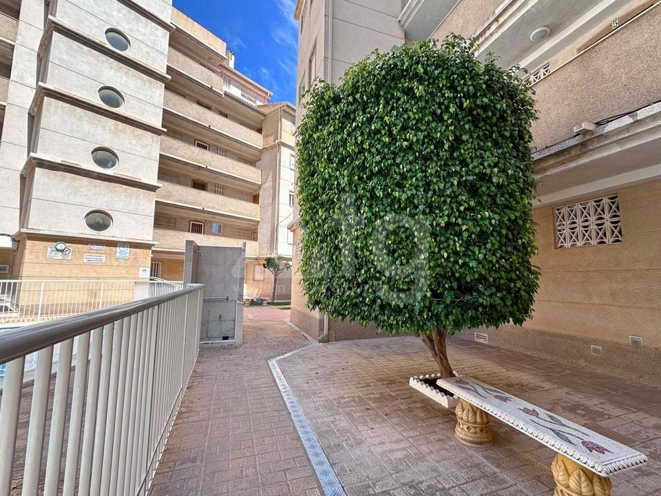 2 bedroom Apartment in Torrevieja - CT145061 - Photo - 27