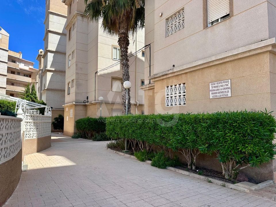 2 bedroom Apartment in Torrevieja - CT145061 - Photo - 28